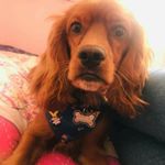Profile Picture of Joel Sotelo (@joel.sotelo.1048) on Instagram