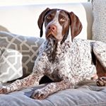 Profile Picture of Augustus Harris-Kirby (@gusthepointewestpointer) on Instagram