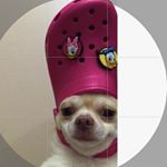 Profile Picture of 𝐝𝐮𝐩𝐞𝐫𝐚 𝐦𝐚𝐫𝐜𝐞𝐥𝐚 🐏 (@jeszcze_lzej) on Instagram