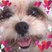Profile Picture of Yoke Yap (@yoke.yap.9) on Facebook