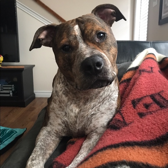 Profile Picture of Kimberly Chase (@kchase28) on Poshmark