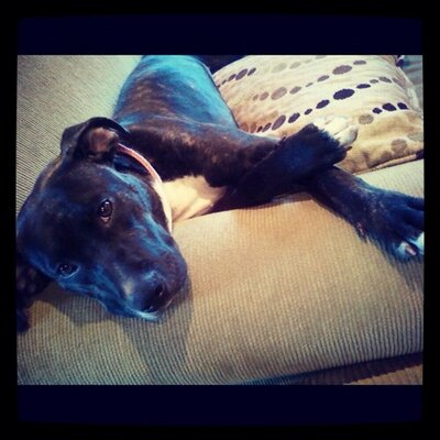 Profile Picture of Brett Hettman (@Puddy40) on Twitter