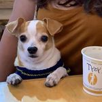 Profile Picture of Fabian Ramos (@fabianramos9412) on Instagram