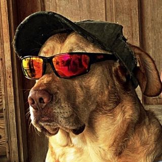 Profile Picture of Jason Fordham (@jason.fordham.92) on Facebook