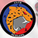 Profile Picture of Club De Taekwondo Ocelotl (@tkdocelotl) on Flickr