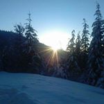 Profile Picture of Tim Mathews (@tim7369) on Instagram