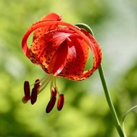 Profile Picture of Cassandra Karr (@cassandra-karr-2) on Quora