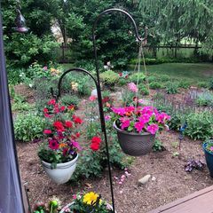 Profile Picture of AlliM (@alicemarlow8) on Tiktok