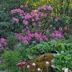 Profile Picture of Karl Stenberg (@Karl-Stenberg) on Facebook