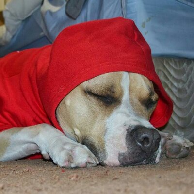 Profile Picture of Brad Kirk (@bradkirk64) on Twitter