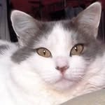 Eric Plasse - Instagram Profile Picture of Eric Plasse (@plasseeric) on Instagram