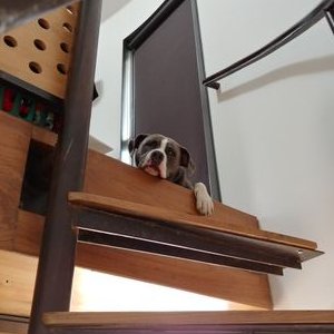 Profile Picture of @foshe602 (@KevinMichie1) on Twitter