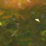 Profile Picture of jean jacques hoffmann (@jj.hoffmann) on Flickr