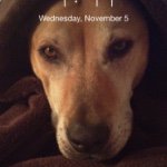 Profile Picture of Tracey Jacobs (@tracey_jacobs) on Instagram