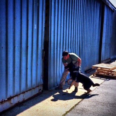 Profile Picture of David Alviar (@TheDavidAlviar) on Twitter