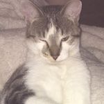 Profile Picture of Nathanael Morlock (@naterbutter) on Instagram