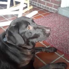 Profile Picture of Mike Everly (@mike_everly) on Twitter