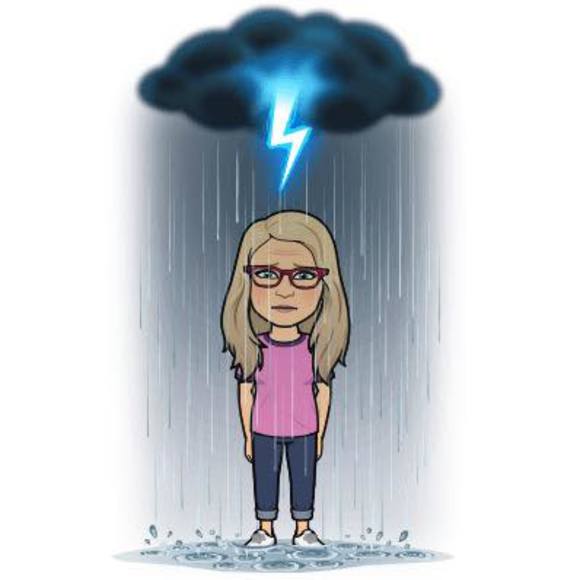 Profile Picture of Stacey Chamaty (@stacey_chamaty) on Poshmark