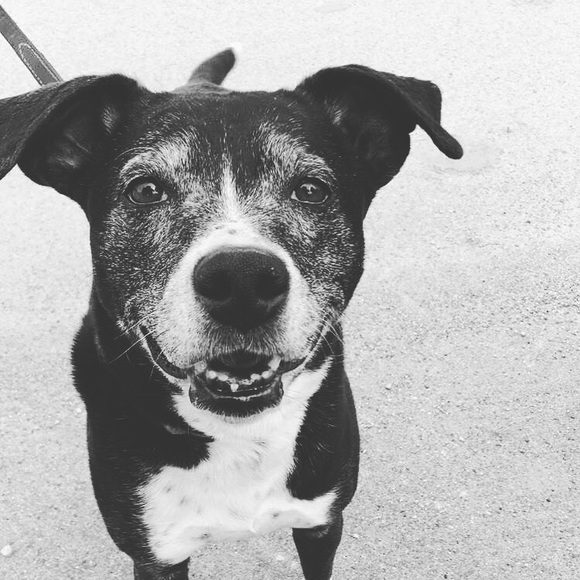 Profile Picture of Emily Byczek (@ebyczek) on Poshmark