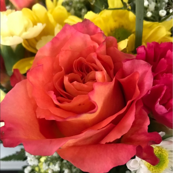 Profile Picture of Tiffany Pannek (@tapmap) on Poshmark