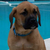 Profile Picture of Robert Barros (@creativelawn) on Youtube