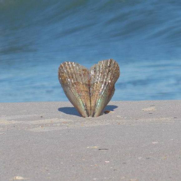 Profile Picture of Whitney Potwin (@whitneyp29054) on Poshmark