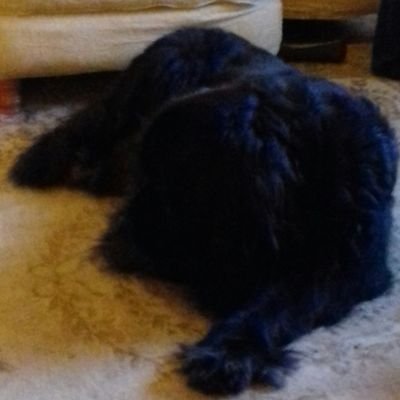 Profile Picture of Bob Evans (@mddclowerculm) on Twitter