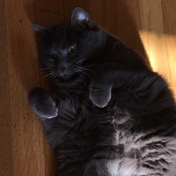 Profile Picture of Miriam Ham-silberman (@geoqube) on Poshmark