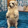 Profile Picture of AlCurtis (@alcurtis81) on Tiktok