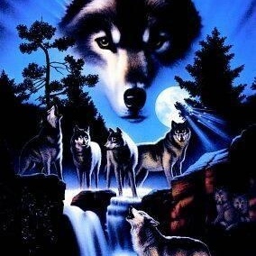 Profile Picture of Nathan Sumpter (@hells__gate) on Myspace