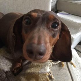 Profile Picture of Heidi Wohlleber (@heidiw6) on Pinterest