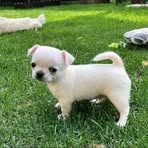 Profile Picture of Thomas Grace MadSen (@amoobuamaah.grace) on Facebook