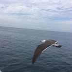 Profile Picture of Pierre Chapdelaine (@pierre.chapdelaine.734273) on Facebook