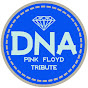 Profile Picture of DNA Pιɴĸ Floyd Trιвυтe Bαɴd (@@gia60) on Tiktok