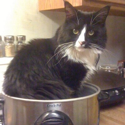 Profile Picture of Casey Harkleroad (@RitzyCasey) on Twitter
