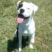Profile Picture of Henry Lee Clary (@william.clary.75) on Facebook