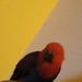 Profile Picture of Nathaniel Gamble (@NateyGam) on Pinterest