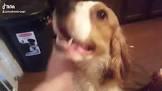 Profile Picture of   Claudine Rulo-Pugh... (@claudinedarkbeauty) on Tiktok