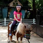 Profile Picture of Stephanie Chow (@stephaniechowchiching) on Instagram