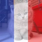 Bastien Bernier - Facebook Profile Picture of Bastien Bernier (@bastien.bernier.522) on Facebook