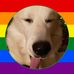 Profile Picture of Whitney Davison (@whitney.davison.9) on Facebook