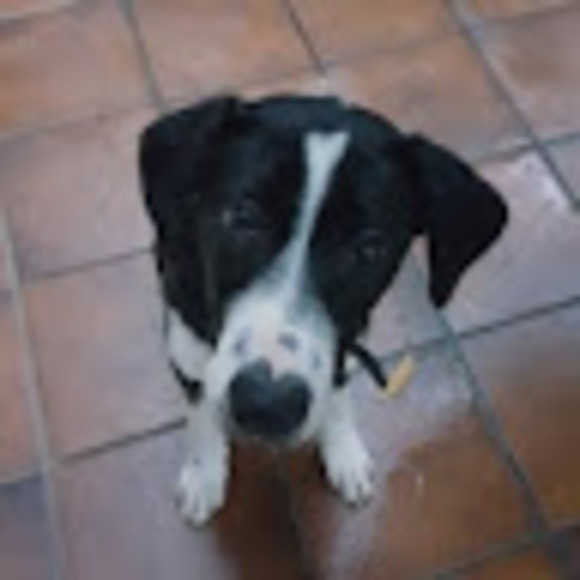 Bella Liu - Poshmark Profile Picture of Bella Liu (@bellaliu837) on Poshmark