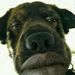 Profile Picture of Steven Kilburn (@2022stevenkilburn) on Pinterest