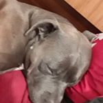 Profile Picture of joel mains (@joel_mains91) on Instagram