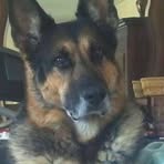 Profile Picture of Lisa Zaccone (@lisa.zaccone.14) on Facebook