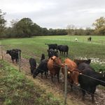 Profile Picture of Lutz Ohlmeier (@lutzohlmeier3) on Instagram