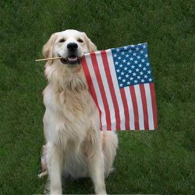 Profile Picture of James Shinn (@Shinn_jm) on Twitter