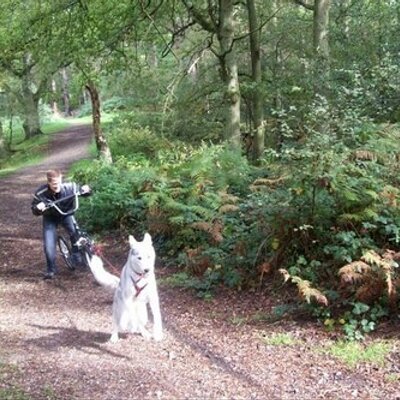 Profile Picture of Richard Wardlow (@Rich15985) on Twitter