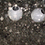 Profile Picture of Daniel Higginson (@daniel ralph marc higginson) on Flickr