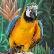 Profile Picture of Paul Blunt (@paulblunt4093) on Youtube